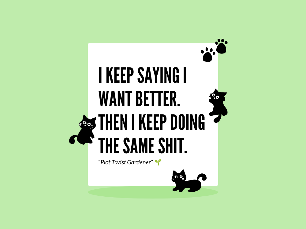 I Keep Saying I Want Better. Then I Keep Doing the Same Shit.